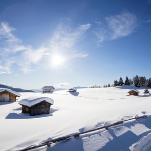 Baite innevate su un altopiano soleggiato con cielo limpido e alberi innevati sullo sfondo.