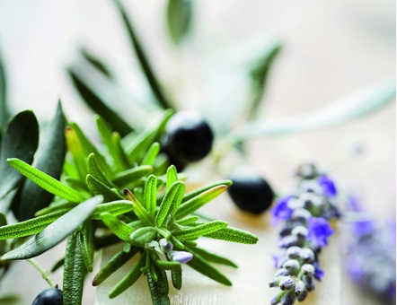 Natural soap with rosemary, lavender, and olives