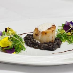 Capesanta su letto di lenticchie con insalata ai fiori e crema di aceto balsamico.