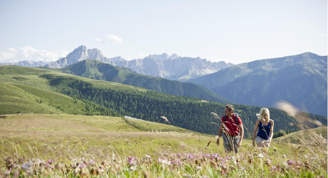 Two people on a hike in summer