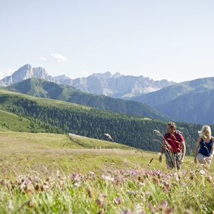 Zwei Personen beim Wandern im Sommer