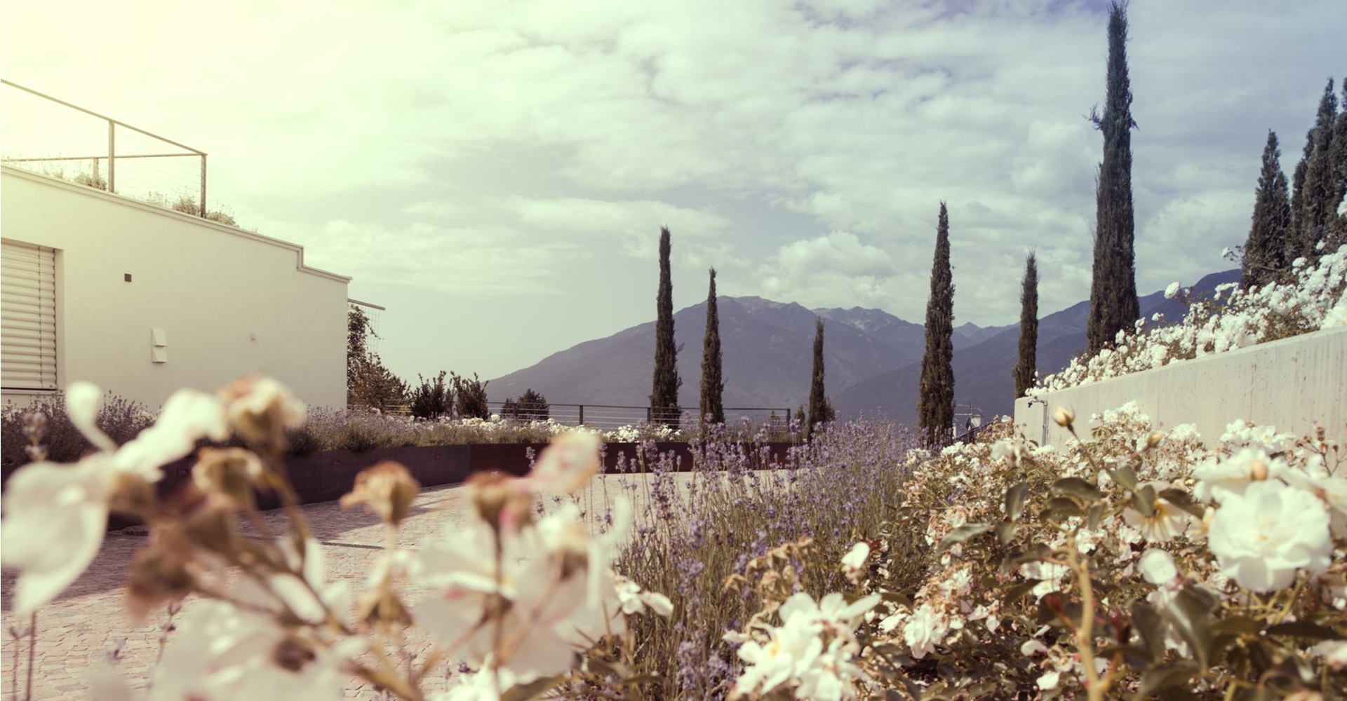 View on the mountains in summer