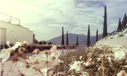 Aussicht auf die Berge im Sommer