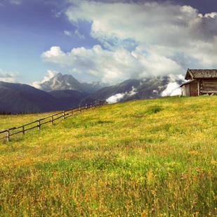 The Rodengo-Luson mountain pasture in summer