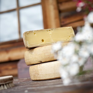 Forme di formaggio e una spazzola