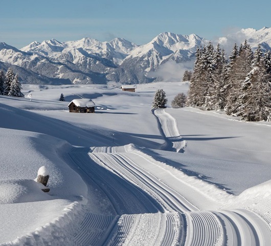 Verschneite Winterlandschaft mit Loipen, Hütten, verschneiten Bäumen und Alpenpanorama.