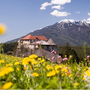 Il Castello Di Rodengo in primavera