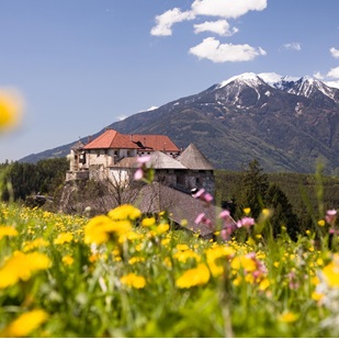 schoenblick-rodeneck-schloss