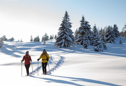 Zwei Frauen machen eine Schneeschuhwanderung
