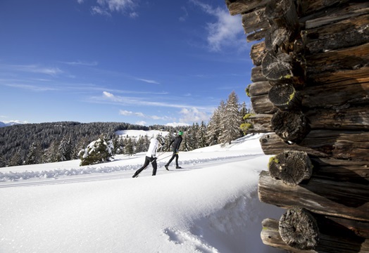 Two cross-country skiers