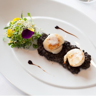 Jakobsmuscheln auf Belugalinsen mit Balsamico und Blütensalat