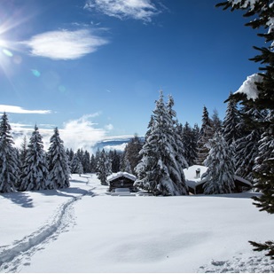 Paesaggio invernale innevato con abeti, baite e orme nella neve sotto un sole splendente
