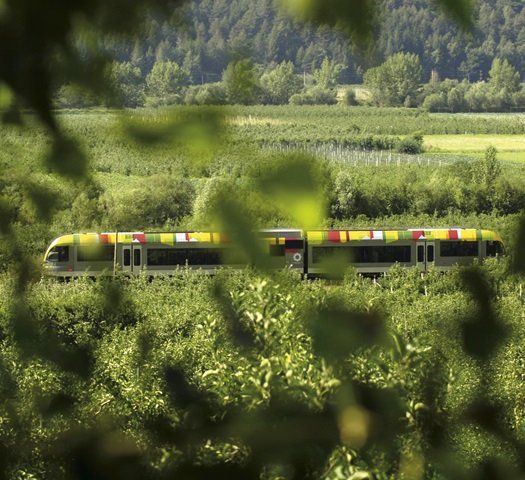 A train