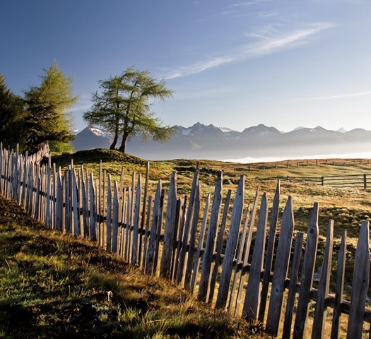 schoenblick-alm-fruehling-05