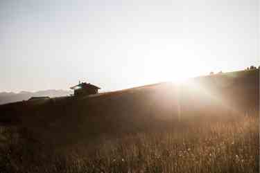 A mountain pasture at sunrise