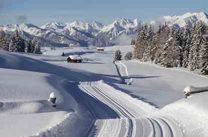 winter-11