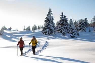 winter2021-33-von-67