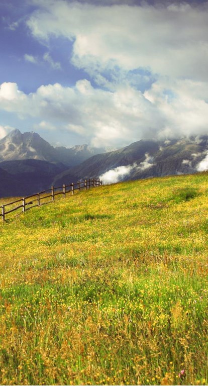 The Rodengo-Luson mountain pasture in summer